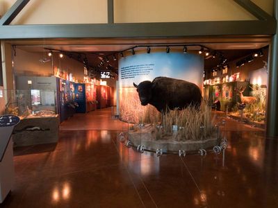 U.S. Fish and Wildlife Rocky Mountain Arsenal Visitor Center project photo 2
