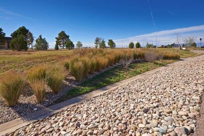 Schreiver Air Force Base — Xeriscaping Falcon Parkway