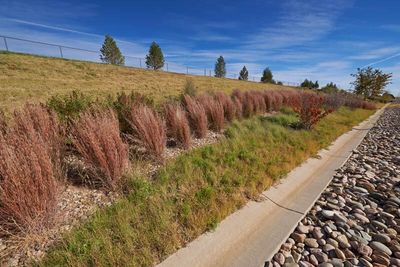 Schreiver Air Force Base — Xeriscaping Falcon Parkway project photo 2