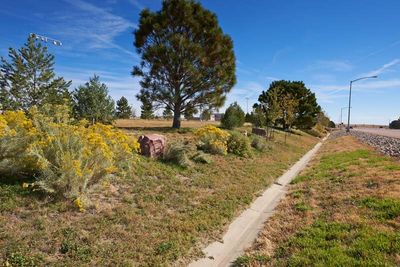 Schreiver Air Force Base — Xeriscaping Falcon Parkway project photo 3